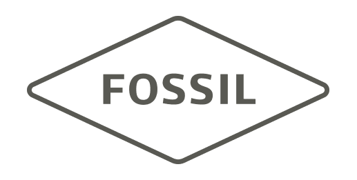 Picture for manufacturer Fossil 